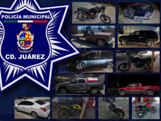 Recuperan 12 vehículos con reporte de robo