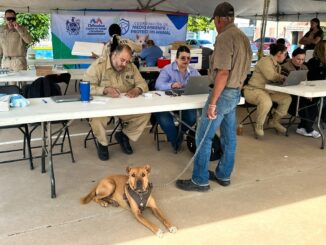 Brinda Municipio más de 940 servicios gratuitos para perros y gatos en Vistas Cerro Grande