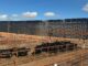 Reanuda Chihuahua exportación de ganado a Estados Unidos por San Jerónimo-Santa Teresa
