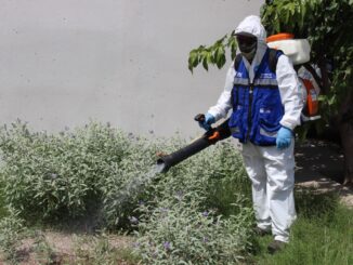 Para prevenir la rickettsia, llevará Municipio brigadas de Patio de Mi Casa a cuatro colonias