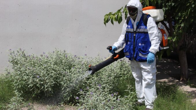 Para prevenir la rickettsia, llevará Municipio brigadas de Patio de Mi Casa a cuatro colonias