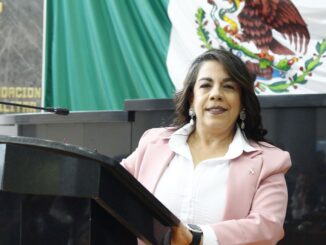 Pide morena al IEE investigar propaganda del PAN y prevenir la cosificación de las mujeres en la política