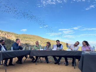 Conmemora Congreso del Estado el Día de la Protección al Murciélago desde Santa Eulalia