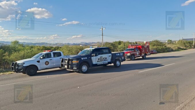 Muere hombre tras recibir múltiples picaduras de abeja en las inmediaciones de El Fresno