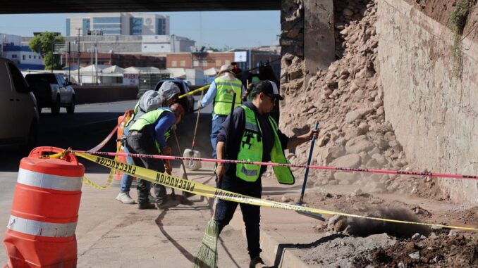 Supervisa René Chavira daños en jardinera de El Trébol; preparan trabajos de reparación