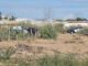 Localizan a hombre sin vida en la colonia Granjas Sacramento
