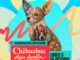 FICUU 2026 inicia este lunes con la inauguración de la exposición “Chihuahua Deja Huella”