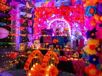 ¡Atención, escuelas! Se extiende el registro para el Concurso de Altares de Muertos 2026