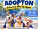 Prepara Municipio evento de adopción donde perritos podrían elegir a su cuidador