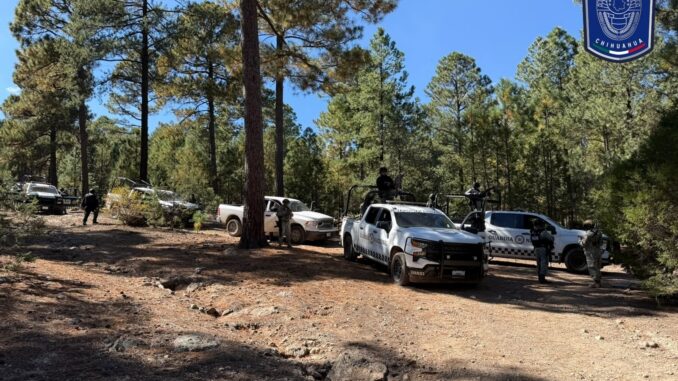 Asegura FDZO dos vehículos incendiados tras reporte de enfrentamiento en comunidad de Madera