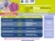 Conoce sedes y fechas de entrega del PAAM para esta semana: DIF Municipal